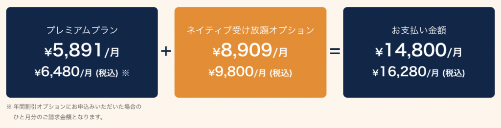 ネイティブ受け放題オプション（月額9,800円）を追加
