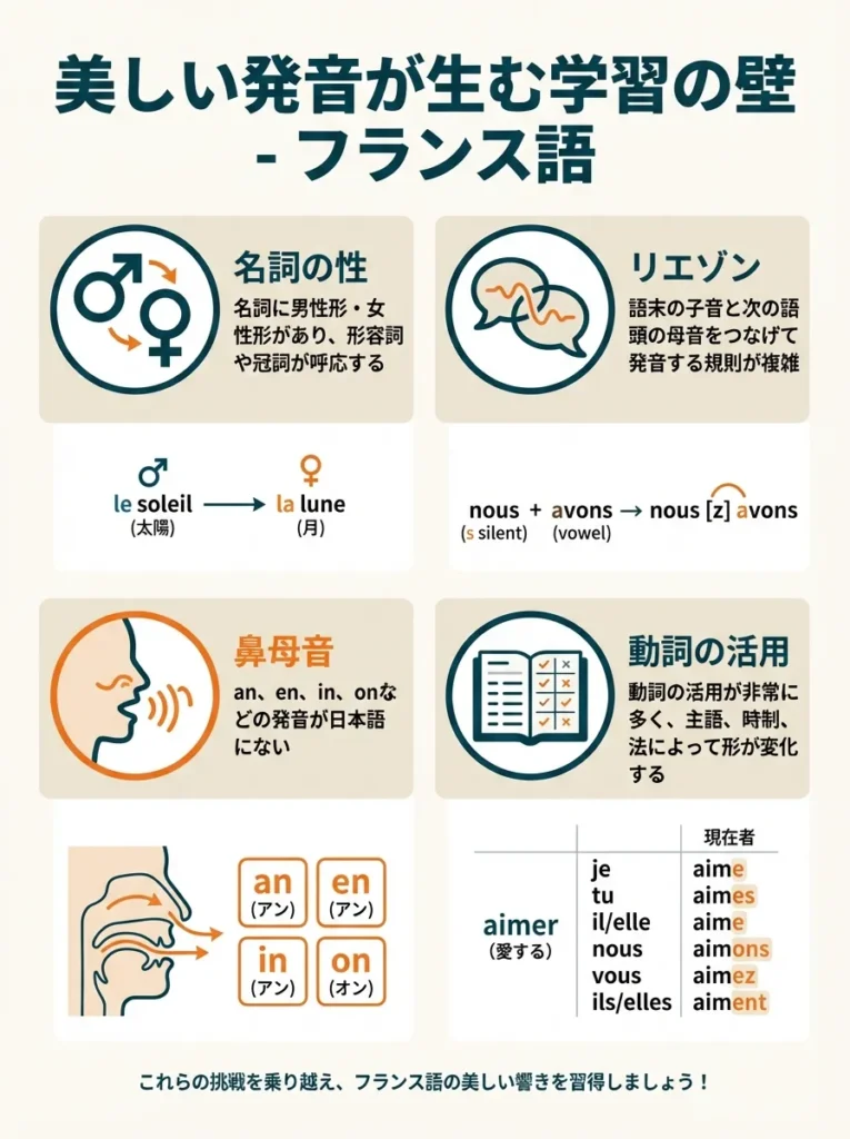 フランス語 - 美しい発音が生む学習の壁